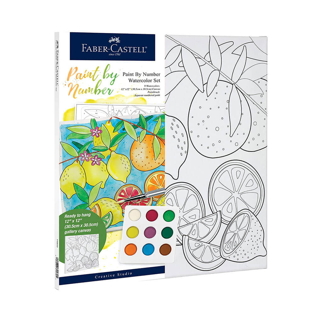 Paint By Number Watercolor Set Produce