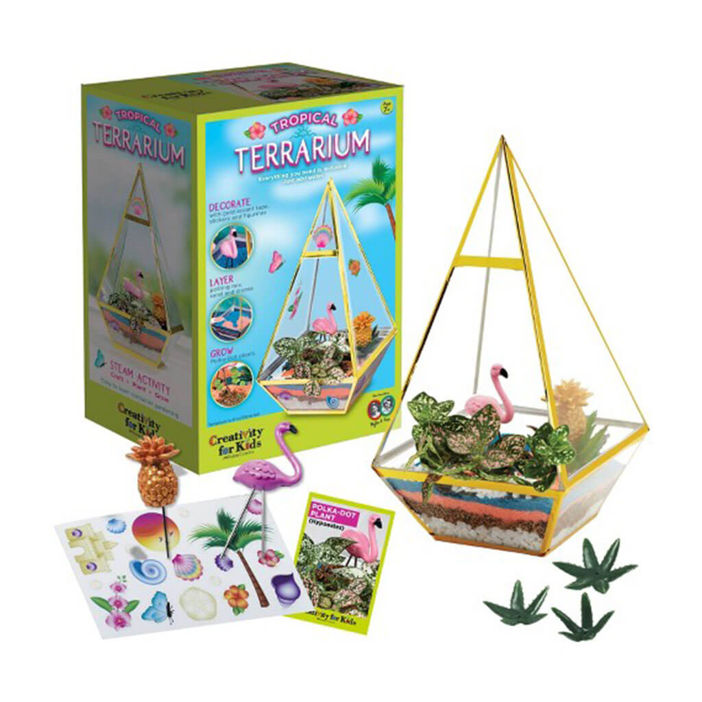 Tropical Terrarium