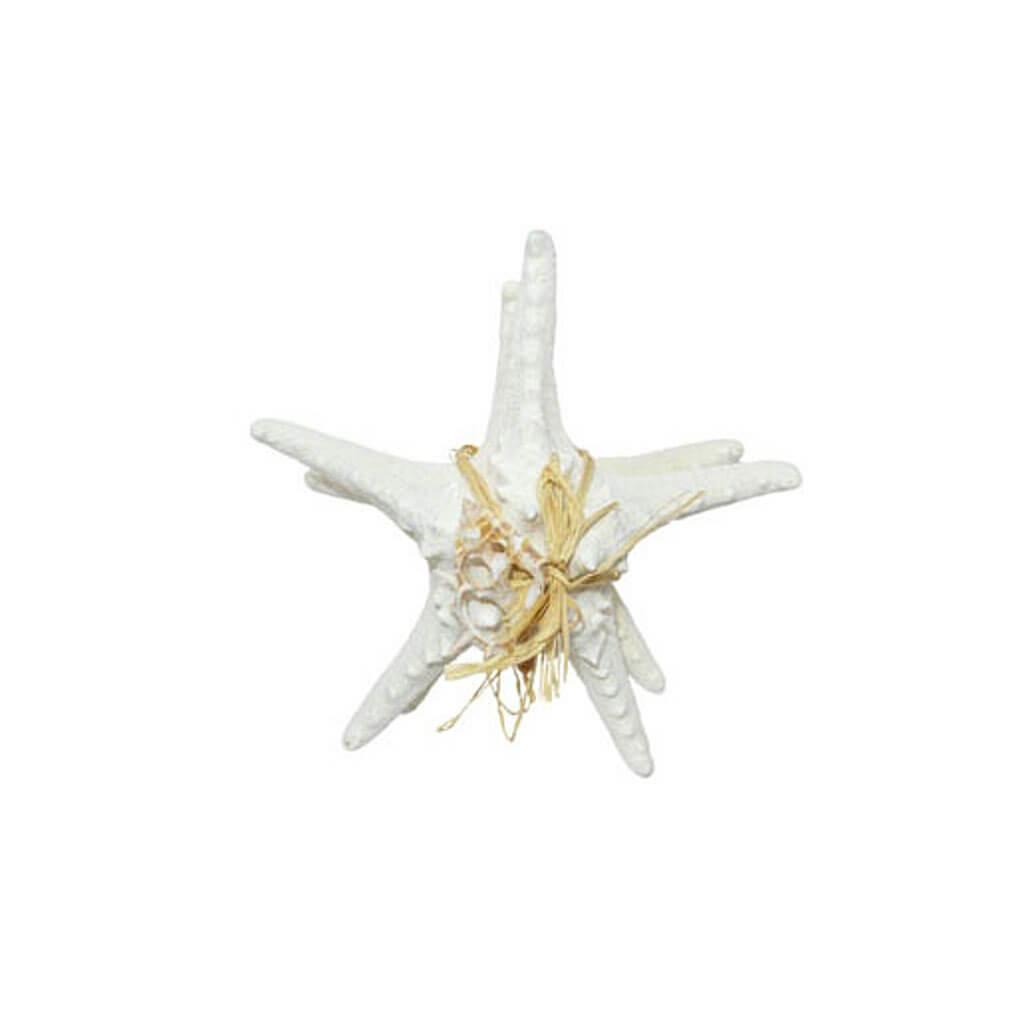 White Armoured Starfish Gift Bundle Set,  4-5in