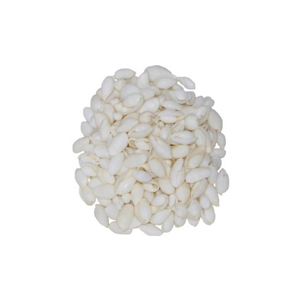 White Bubble Shells - Kilo