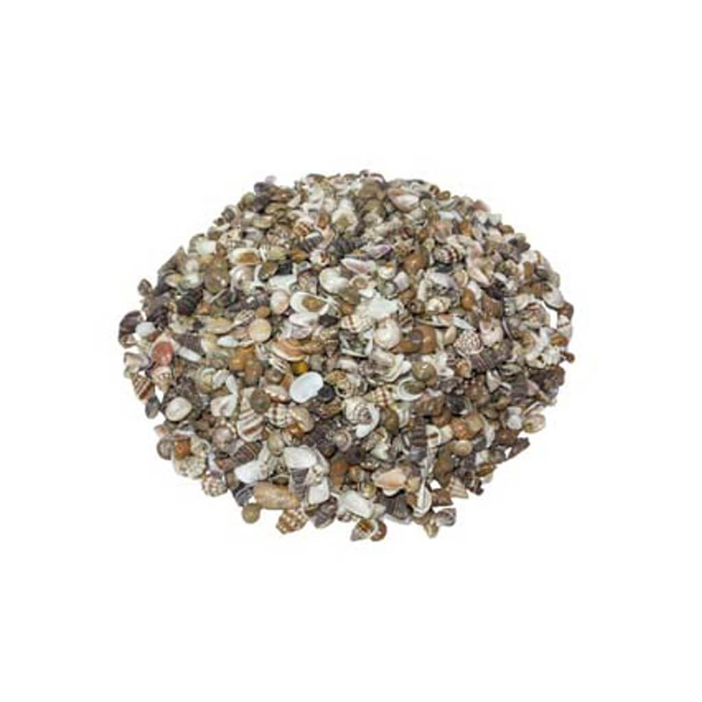 Extra Small Natural India Mix-Kilo Seashells