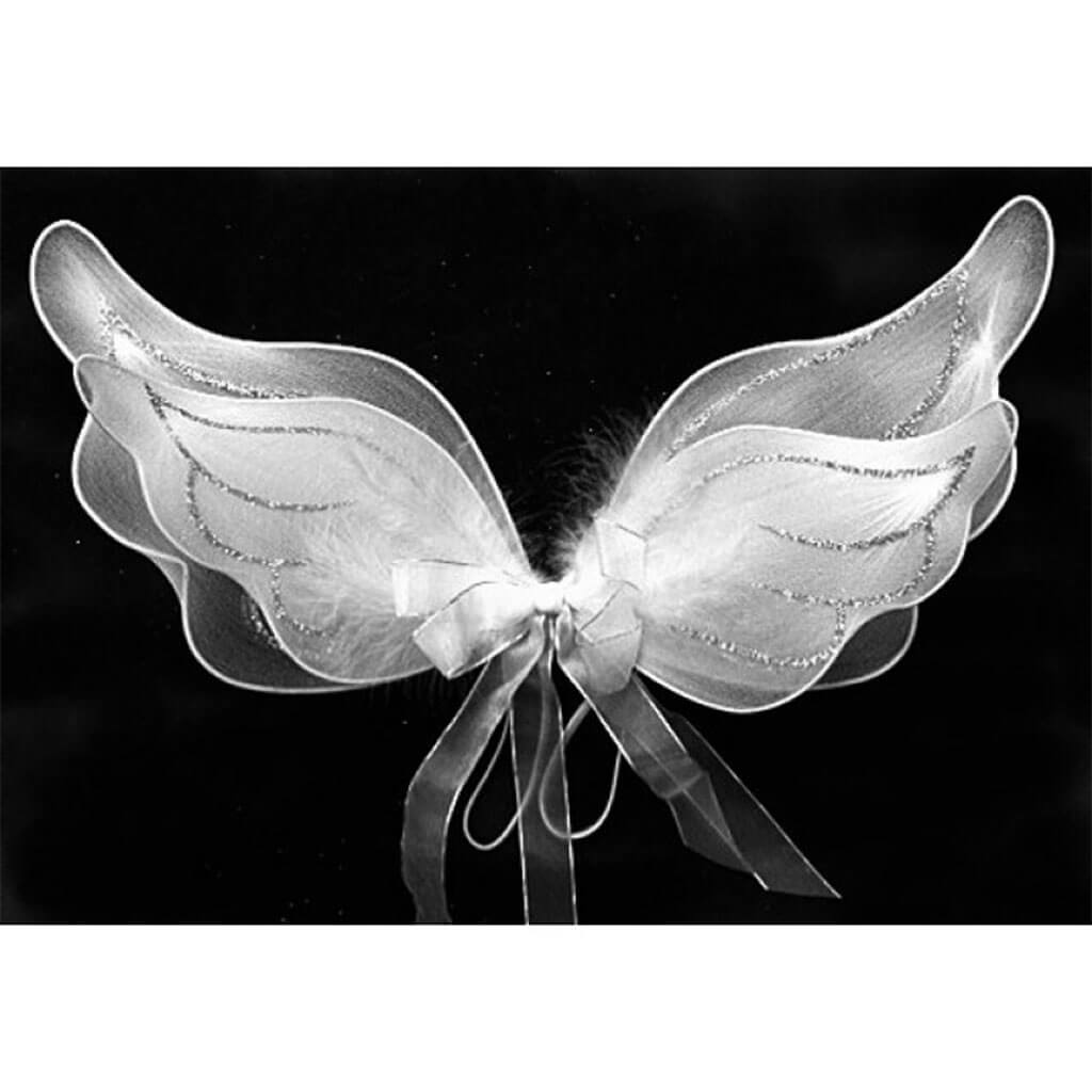 Silver Cupid Wing