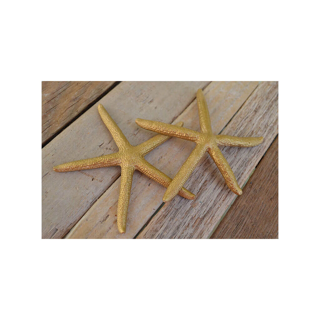 Painted Finger Star 4-5in Gold