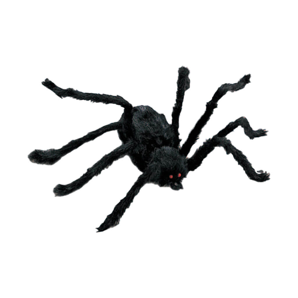 Black Spider Small