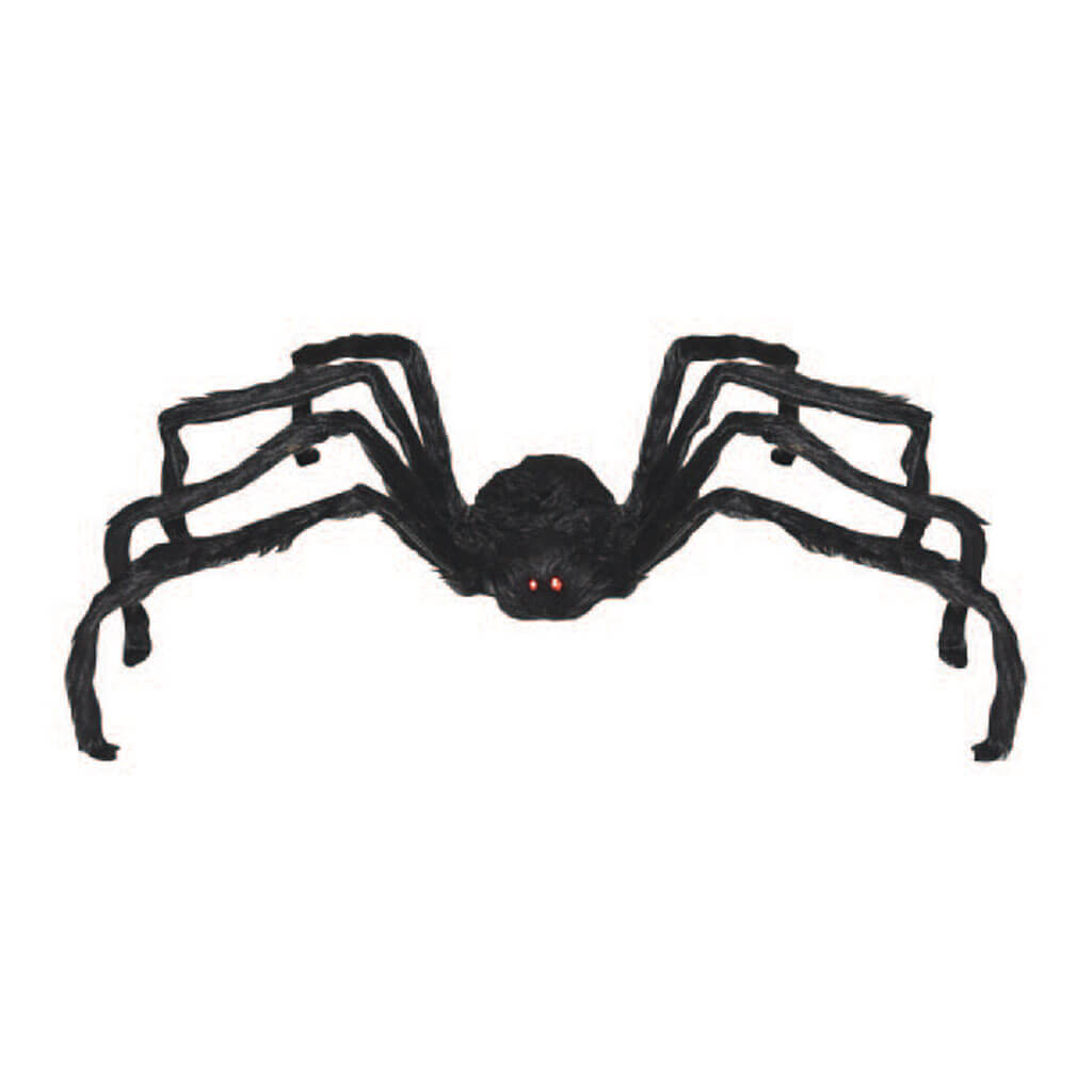 Black Walking Spider