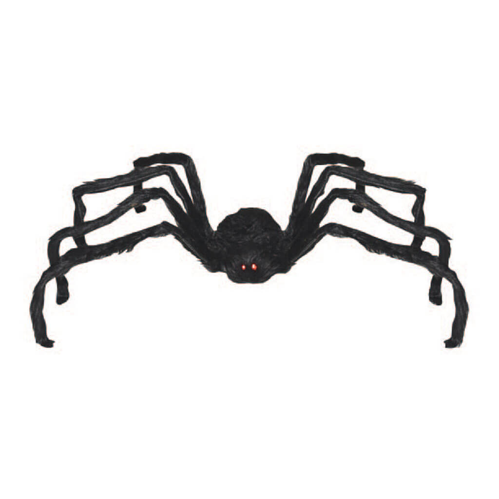 Black Walking Spider