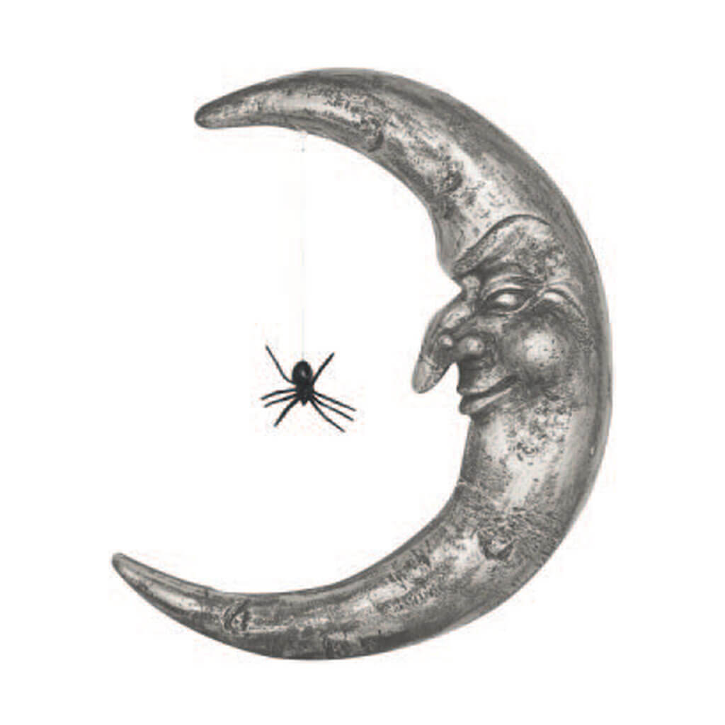 Hanging Moon with Spider