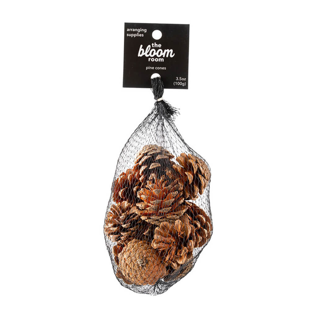 Medium Pine Cones 100gm