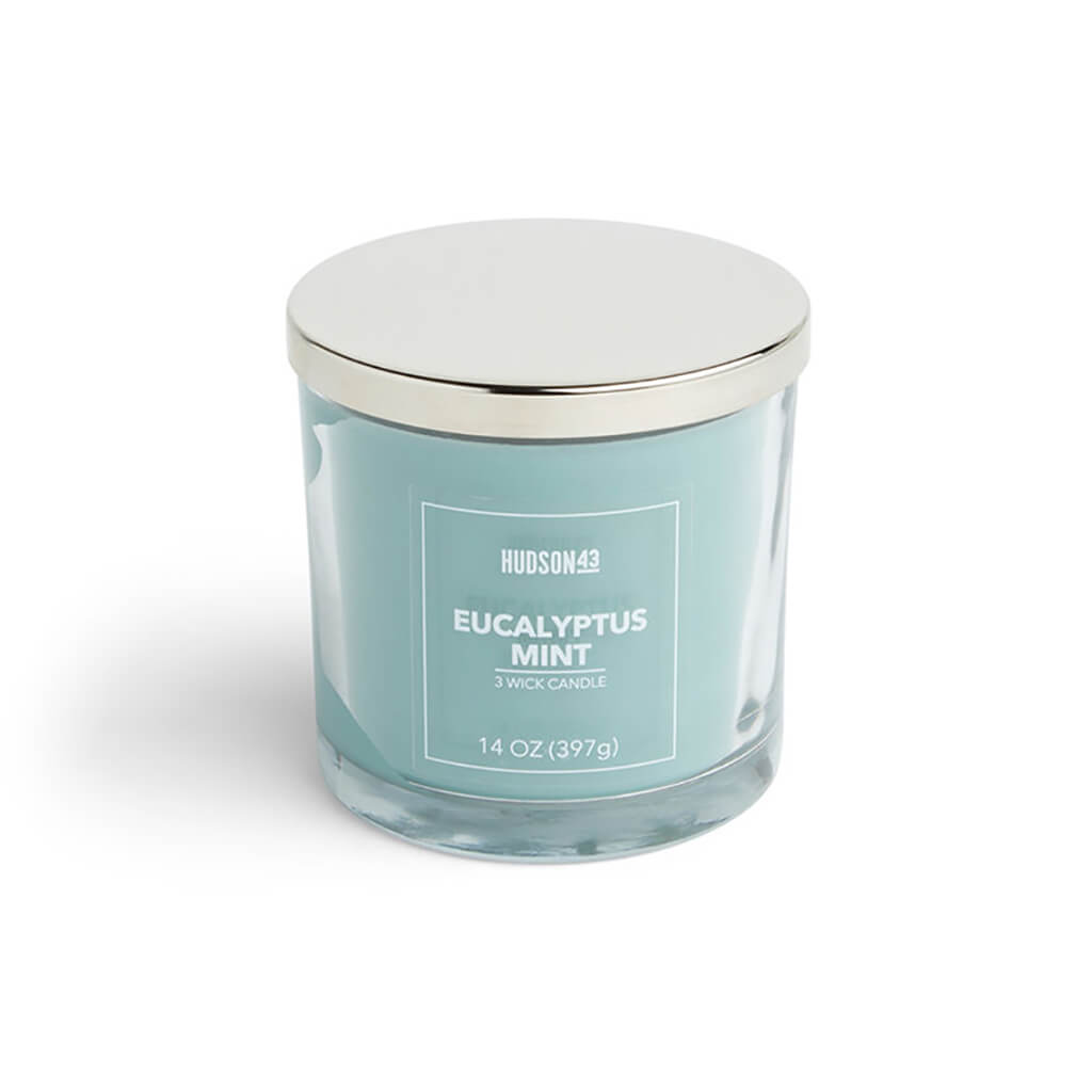 Eucalyptus Mint Scented Jar Candle, 14oz