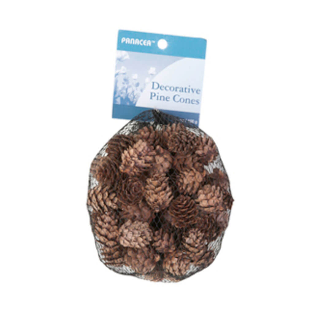 Small Pine Cones 100gm