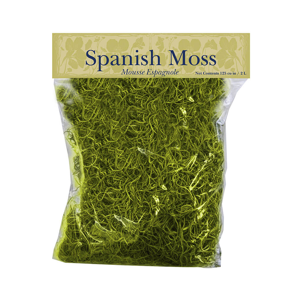 Chartreuse Spanish Moss 125 cu in