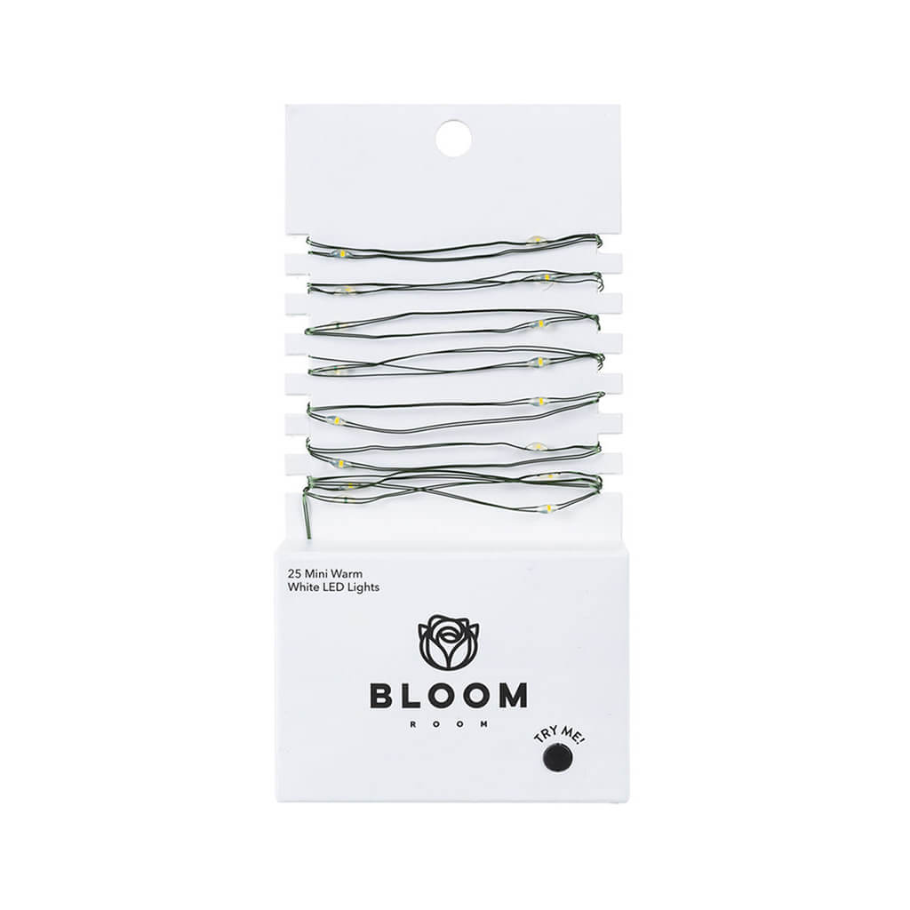 Bloom Room 25ct LED Mini Green Wire with Warm White String Lights