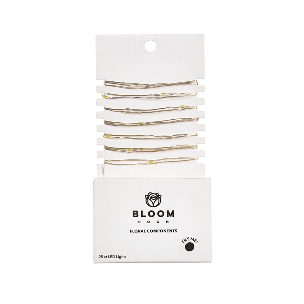 Bloom Room 25ct LED Mini Silver Wire with Warm White String Lights