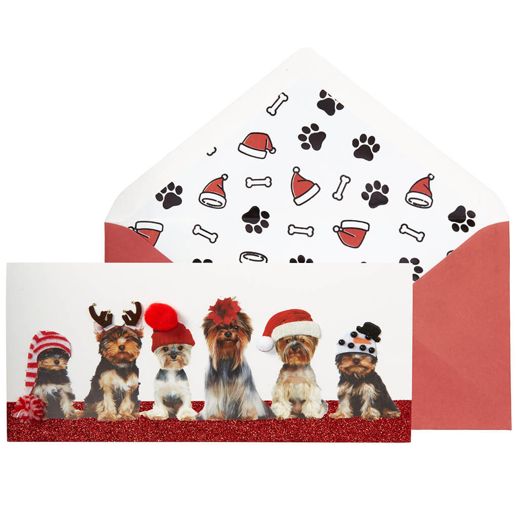 Christmas Card Photo Dogs with Christmas Hats