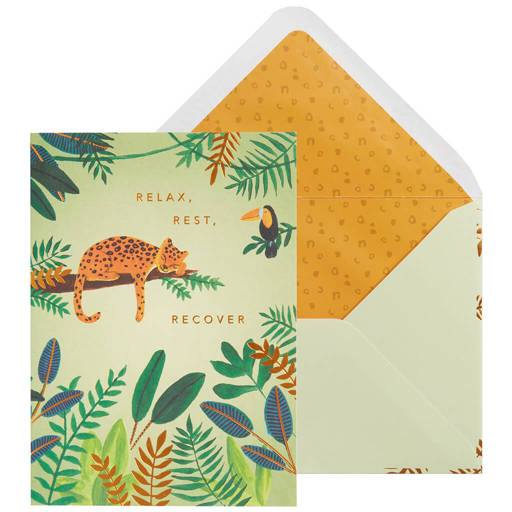 Get Well Card Leopard On Branch