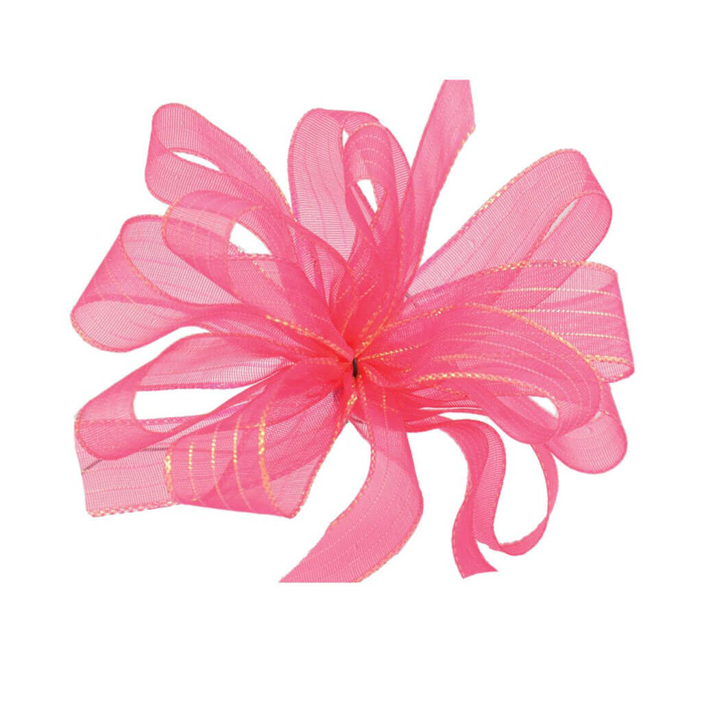 Striped Chiffon #3 5/8in Fuchsia