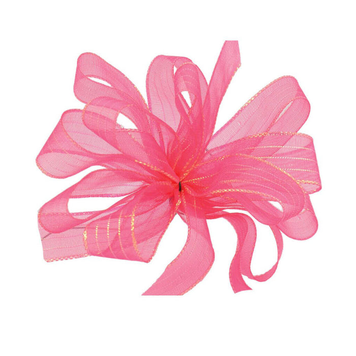 Striped Chiffon #3 5/8in Fuchsia