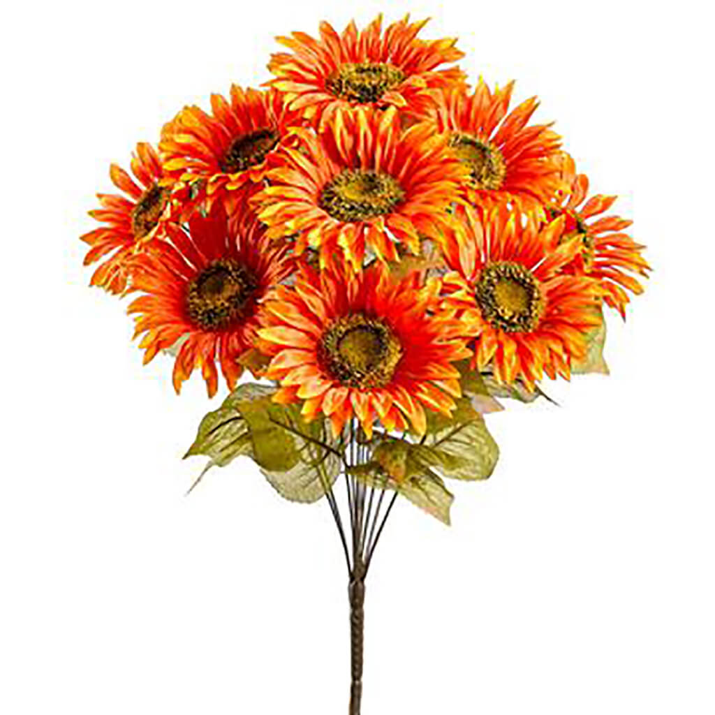 Sunflower Bush x10 Orange Dark, 19in