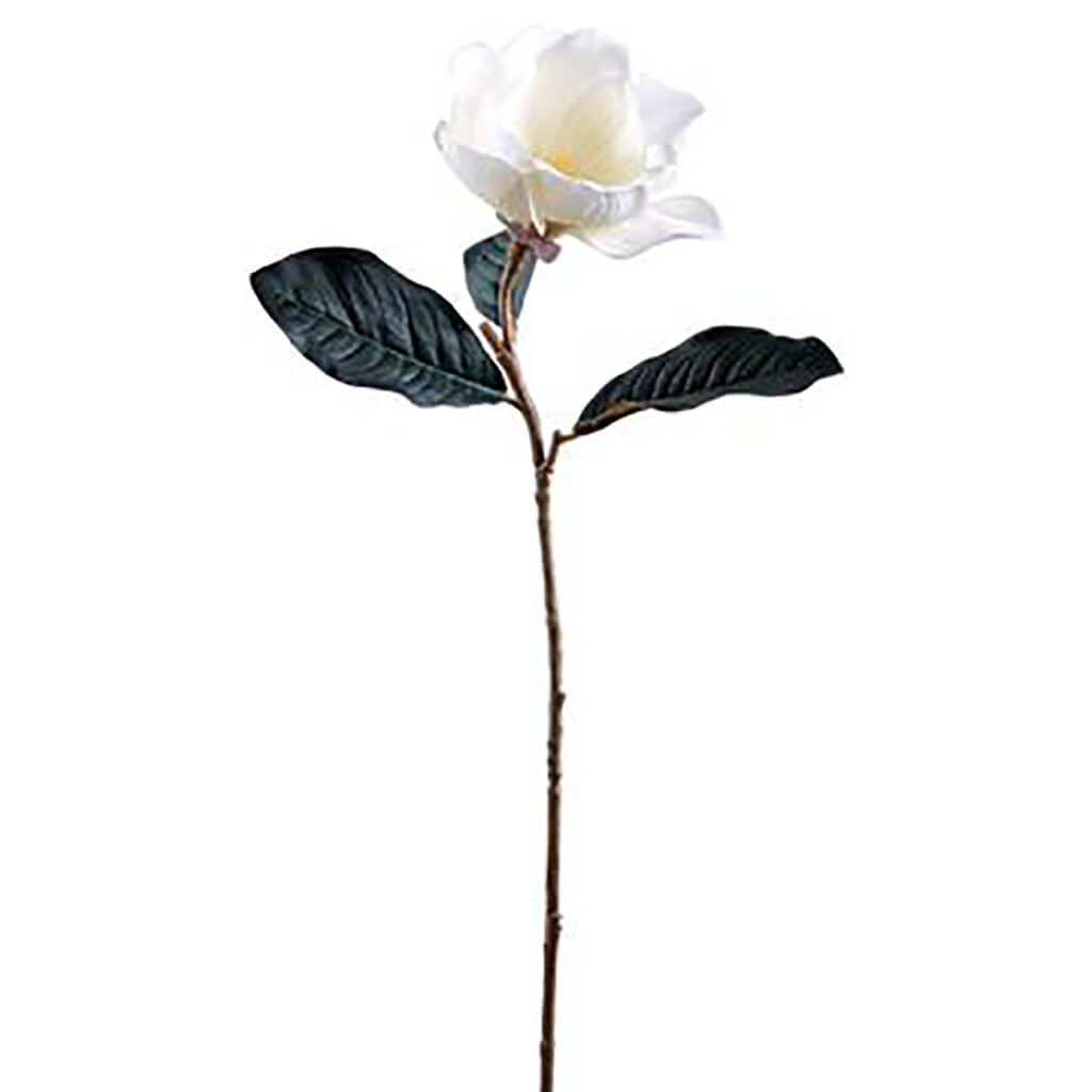 Magnolia Spray 27.5in Cream