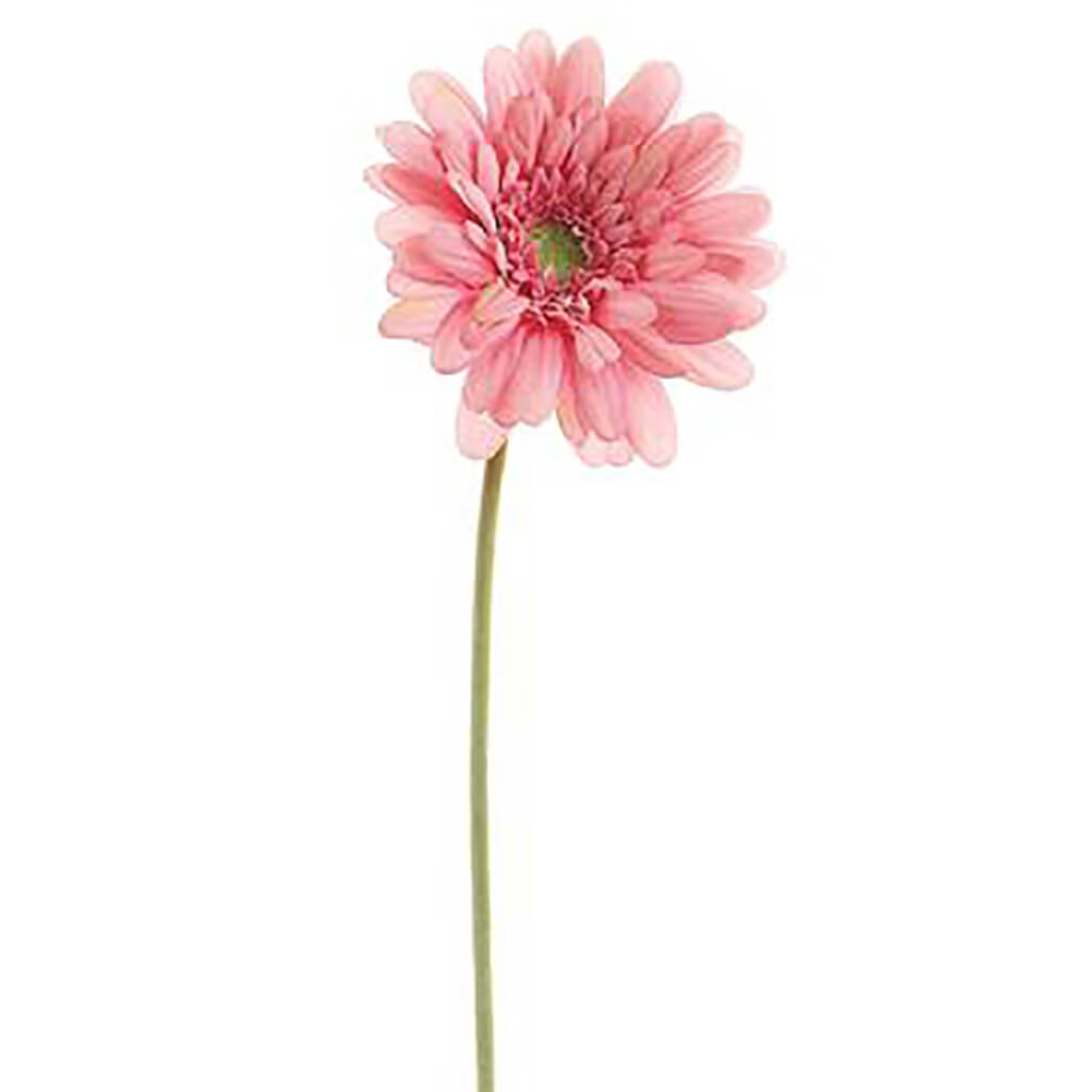 Medium Gerbera Daisy Spray Pink, 21.5in