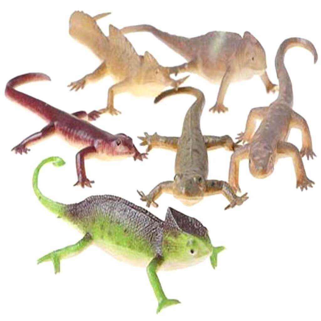 Lizards Kid Fun