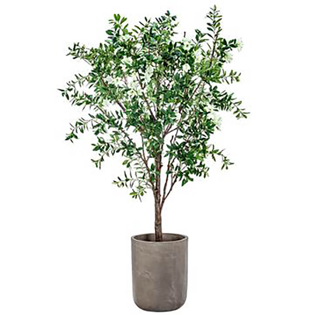Blooming Azalea Tree in Textured Planter, 88in