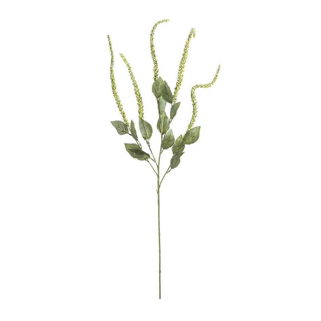 Amaranthus Spray Green, 30in