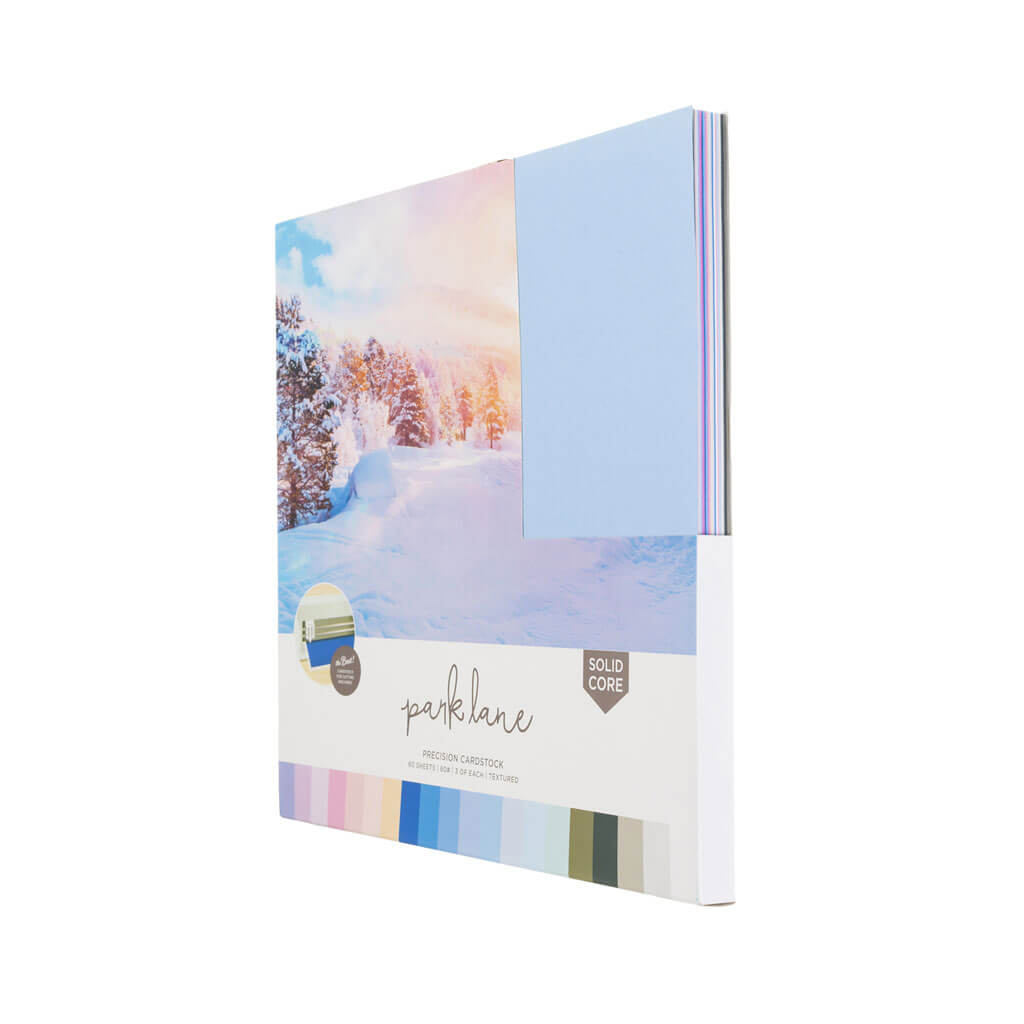 Winter Precision Cardstock Paper Pack 60 Sheet 12in x 12in