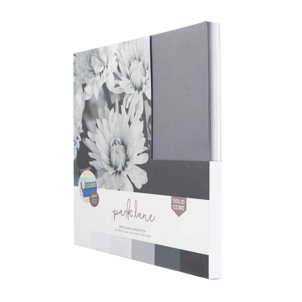 Black &amp; Gray Precision Cardstock Paper Pack 60ct 12in x 12in