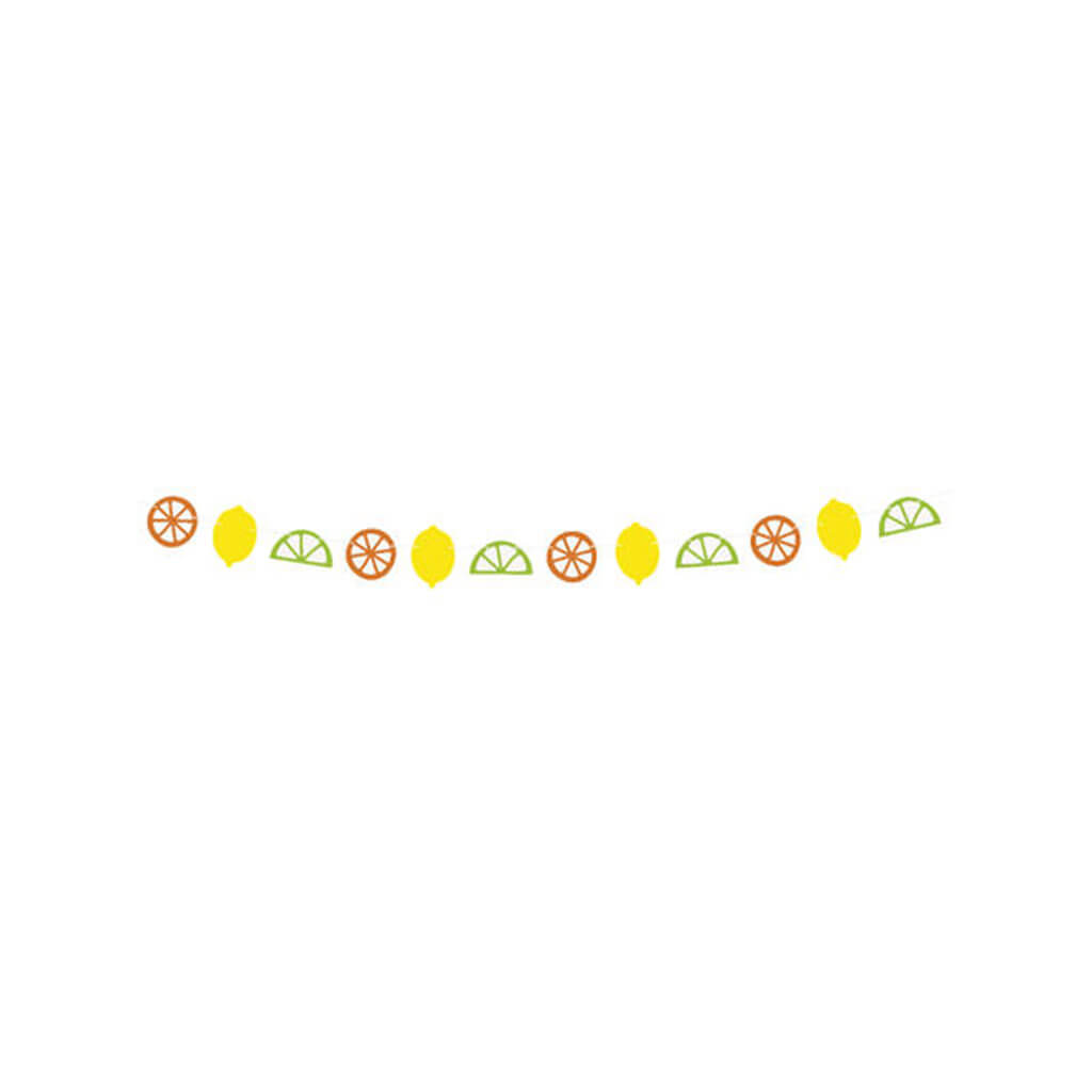 Summer Citrus Garland, 6ft