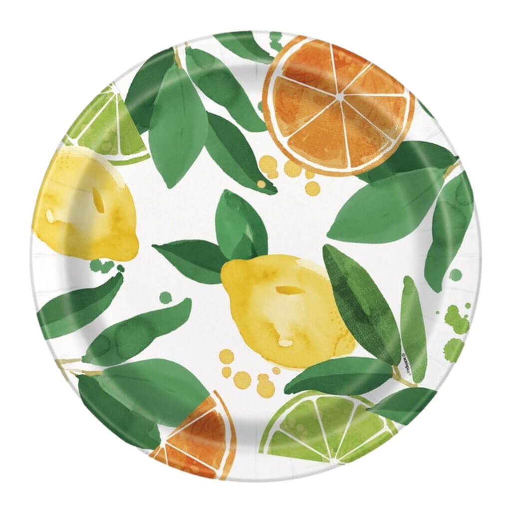 Citrus Fruit Dinner Plate 9in, 8ct