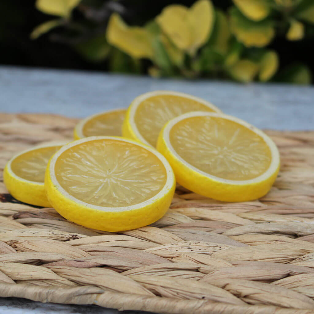 Lemon Slices (Set Of 5)