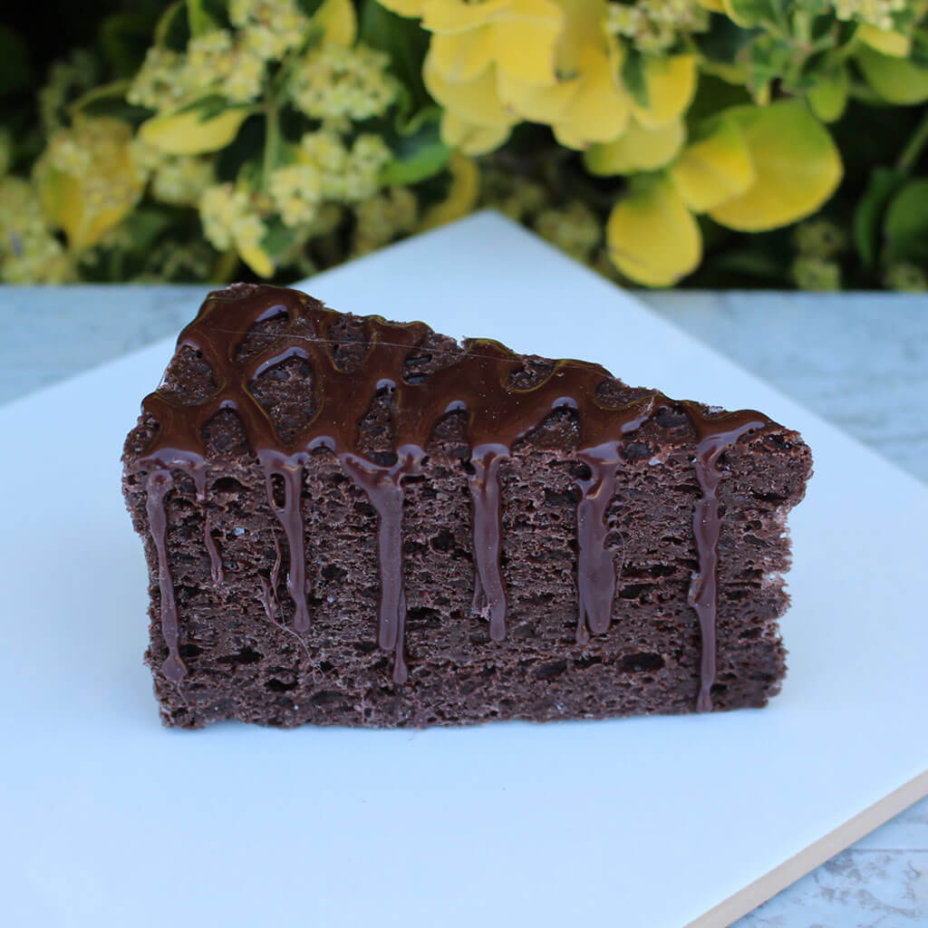 Drizzled Chocolate Cake Slice