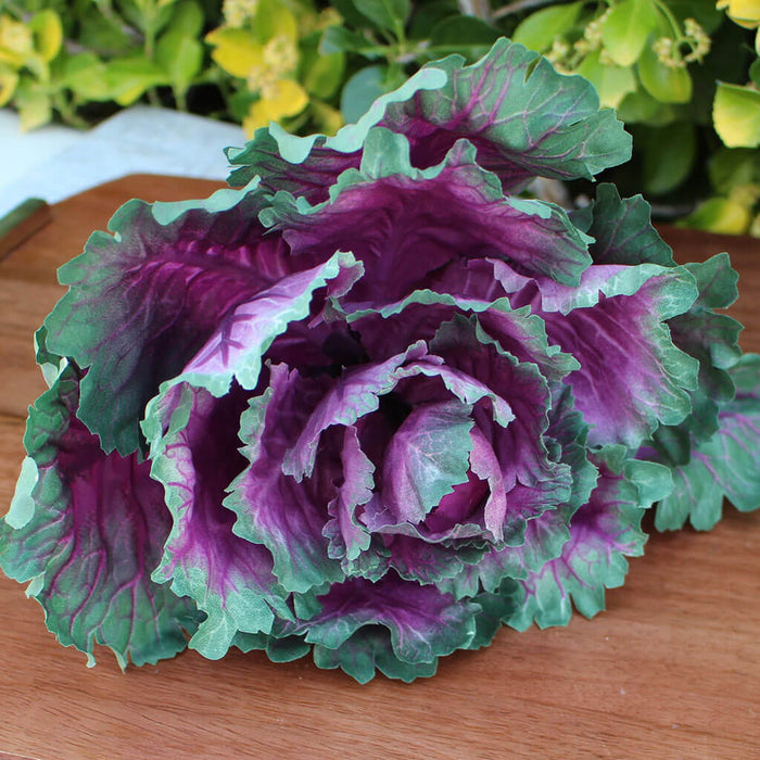 Head Of Red Cabbage