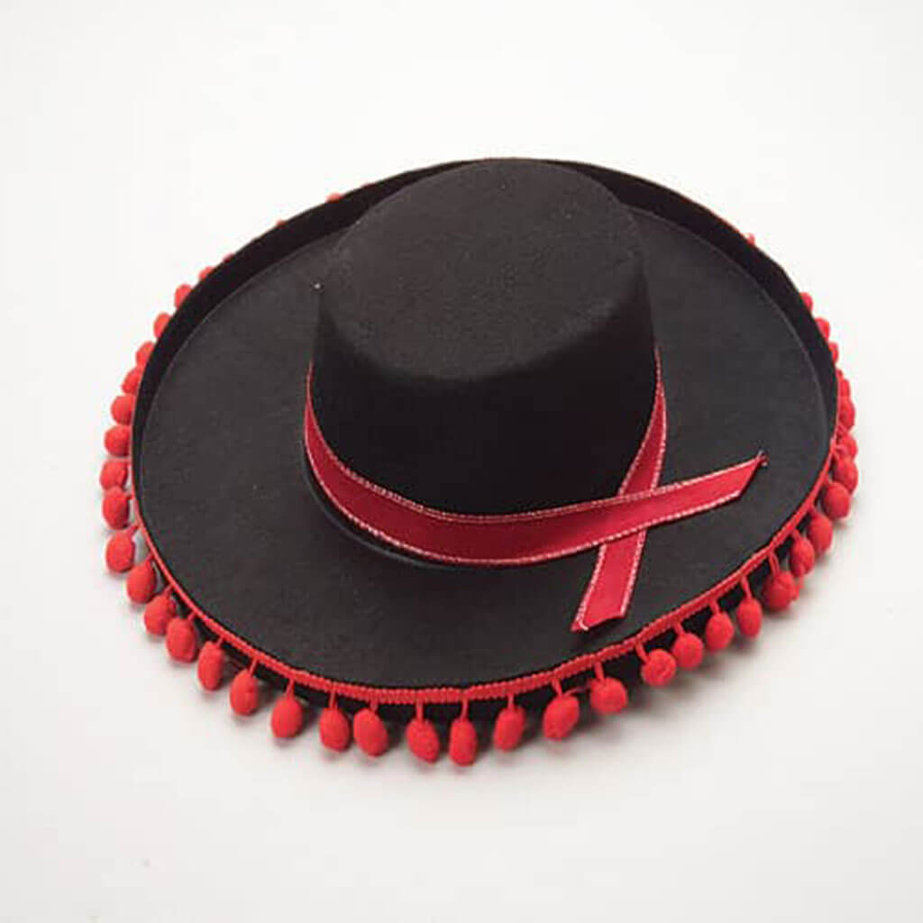 Bull Fighter Hat