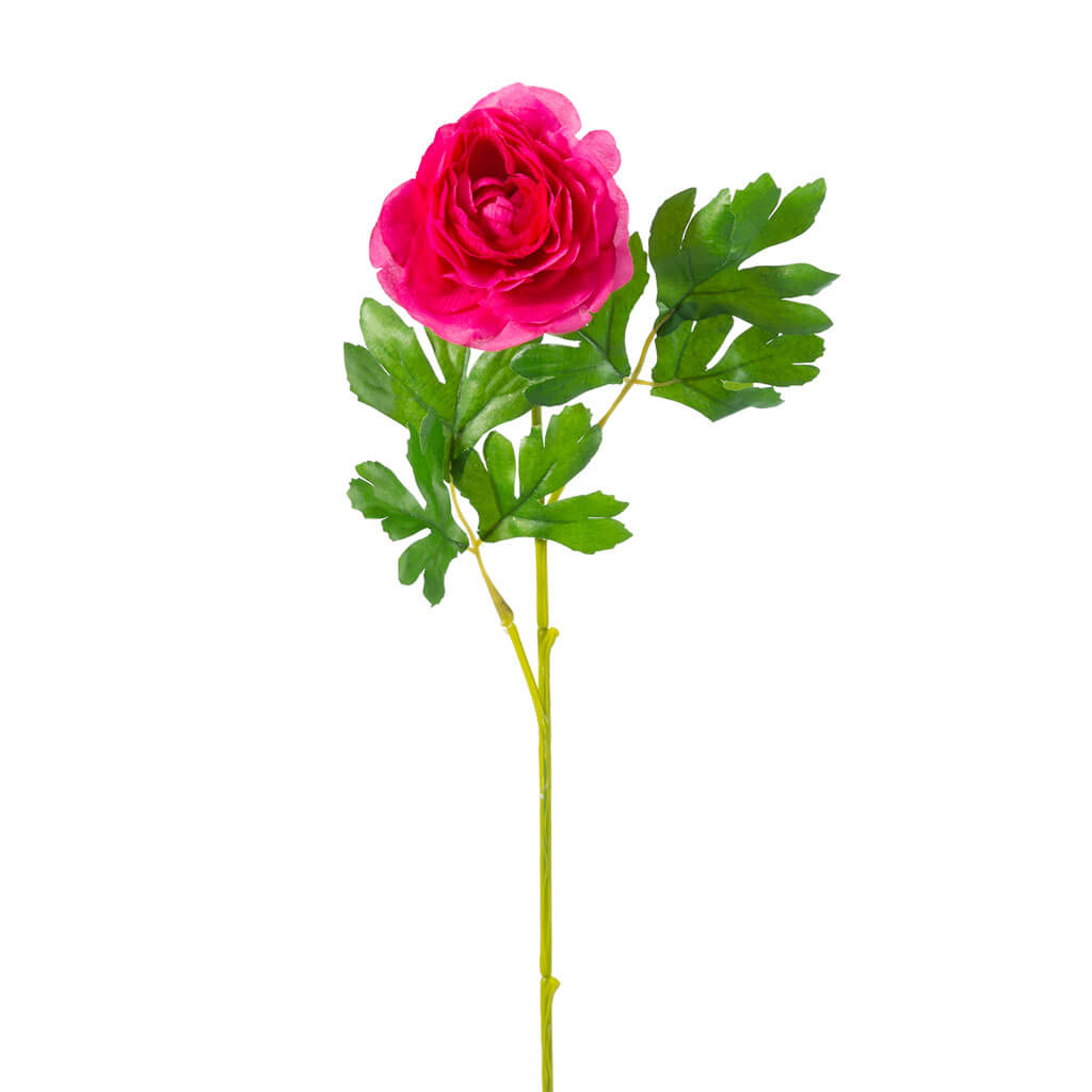 Pink Ranunculus Stem, 16in