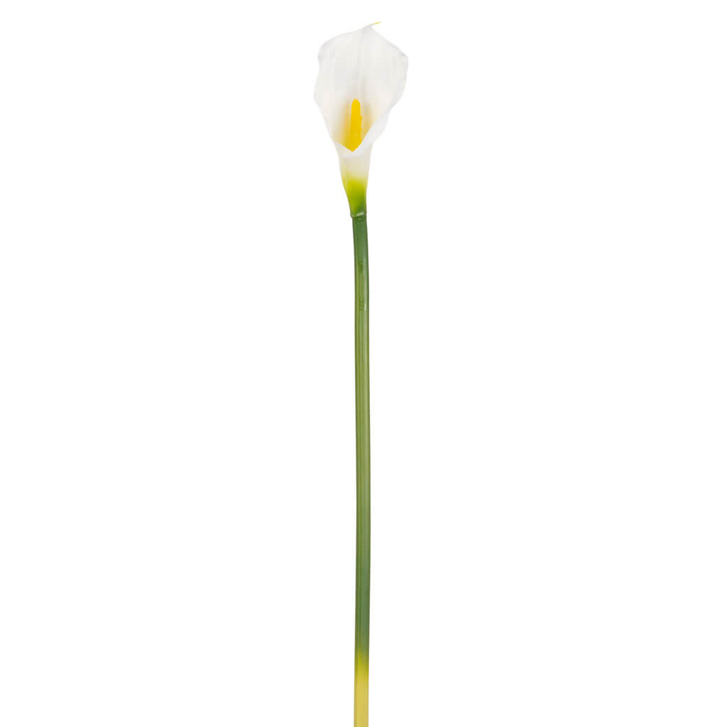 White Real Touch Calla Lily Stem, 27in