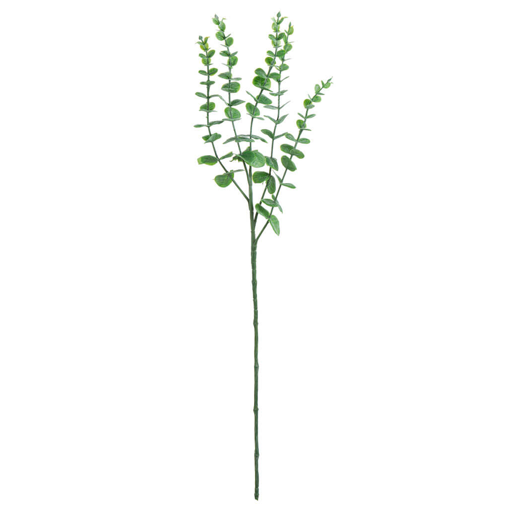 Dark Green Eucalyptus Stem, 28in