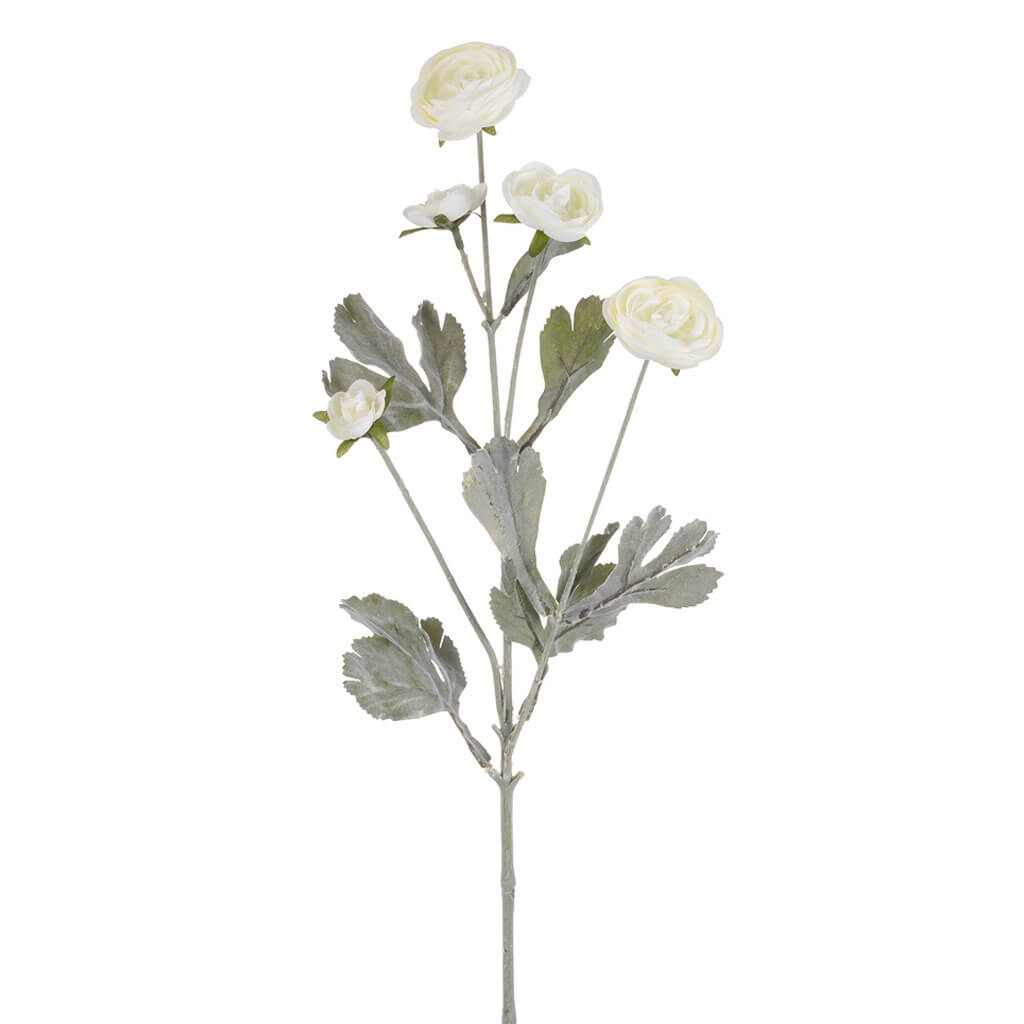 Cream Ranunculus Stem, 27in