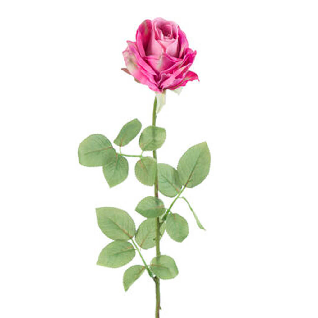 Pink Rose Stem, 27in