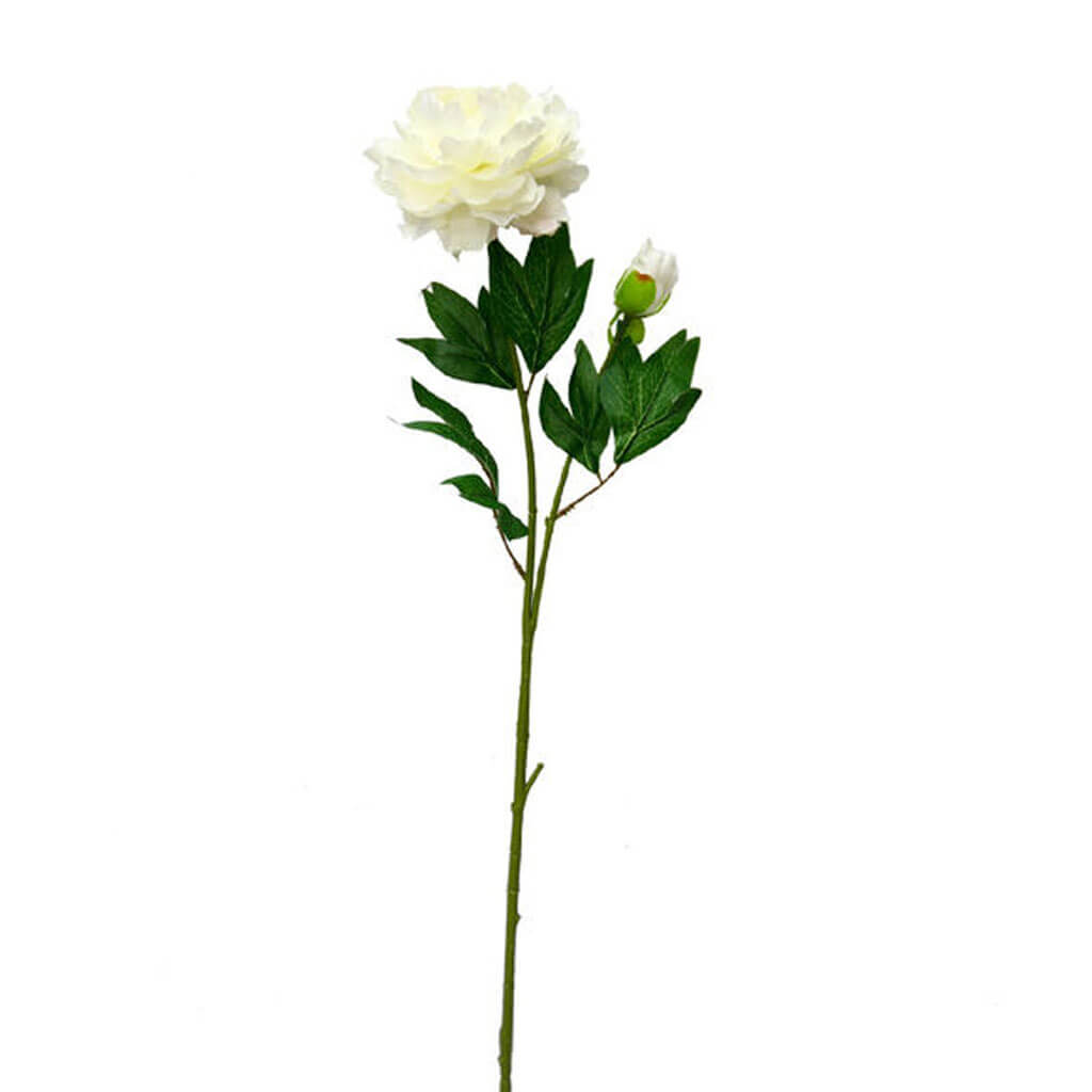 White Peony Stem, 27in