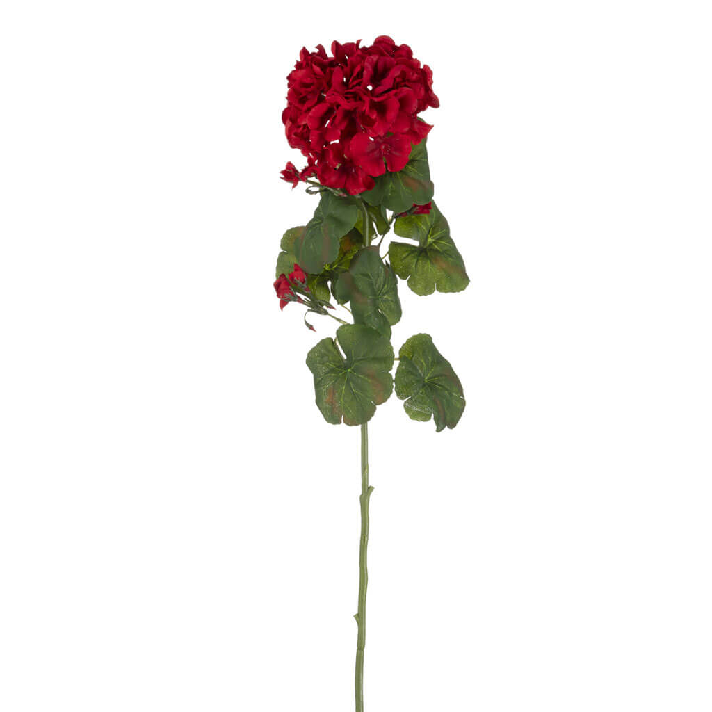 Red Geranium Stem, 29in