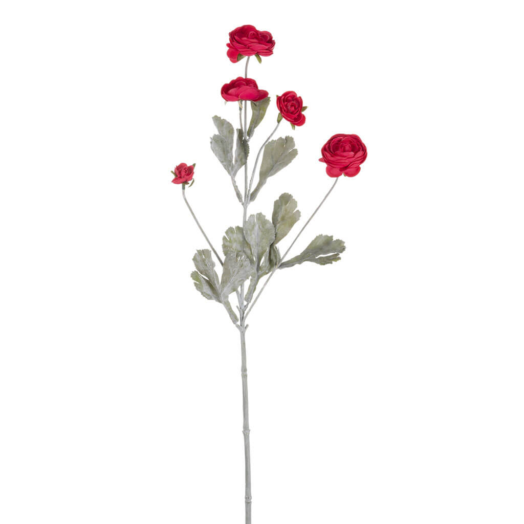 Fuchsia Ranunculus Stem, 27in