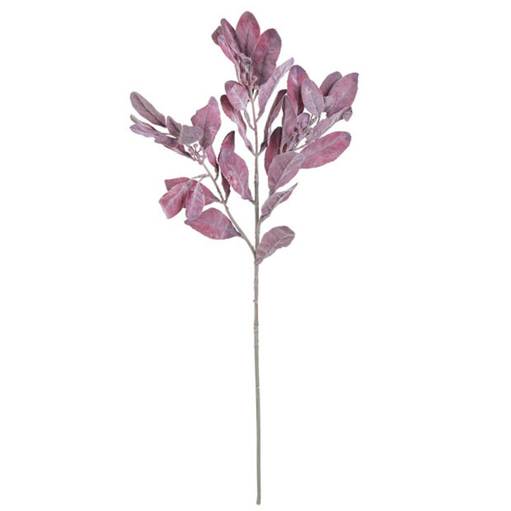 Burgundy Flocked Lamb&#39;s Ear Stem, 26in