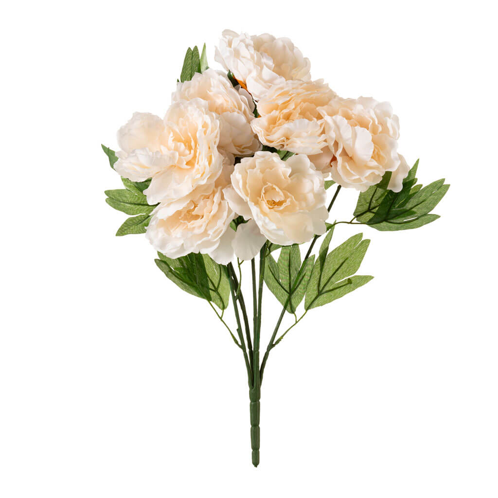 White Peony Bush, 20in