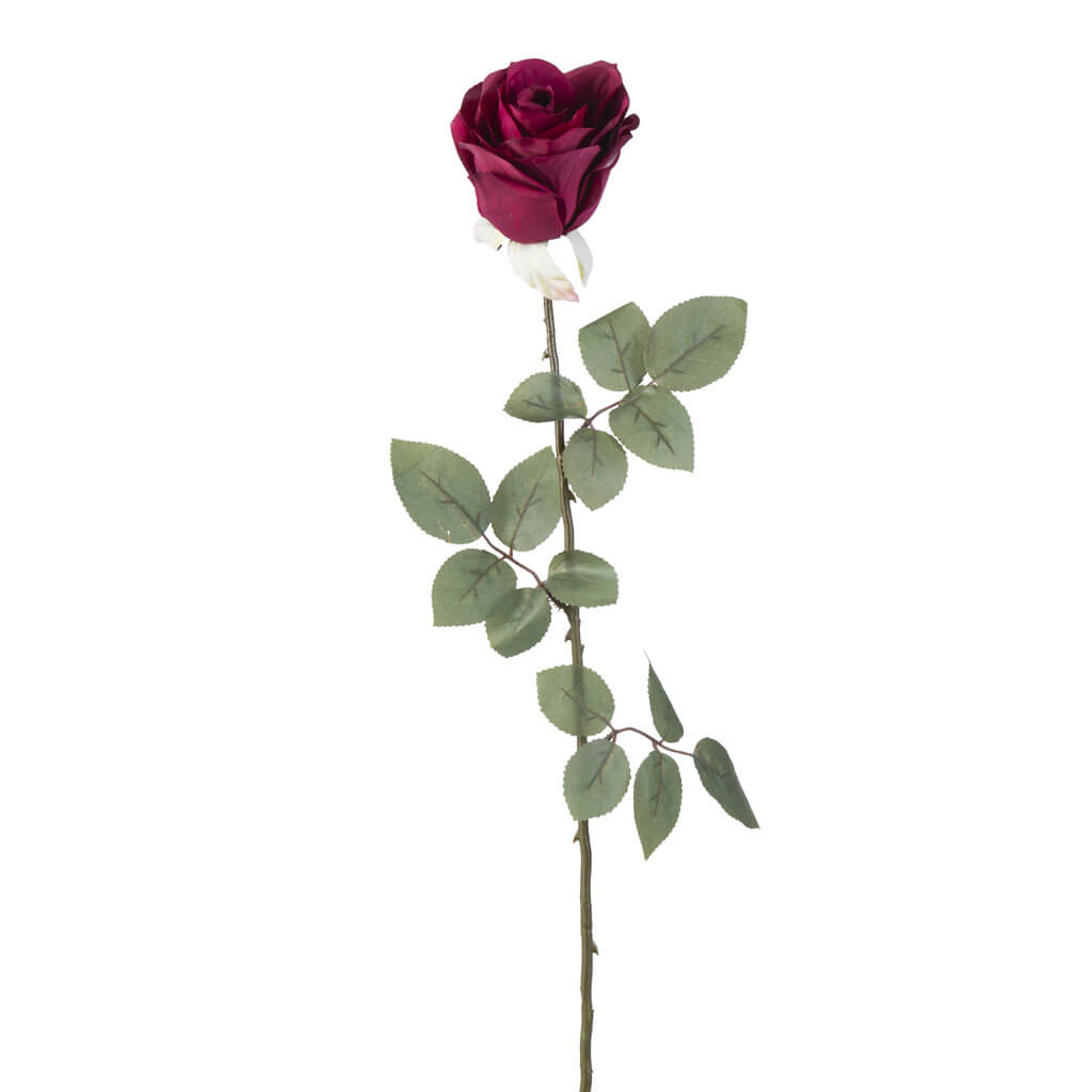 Burgundy Rose Stem, 27in