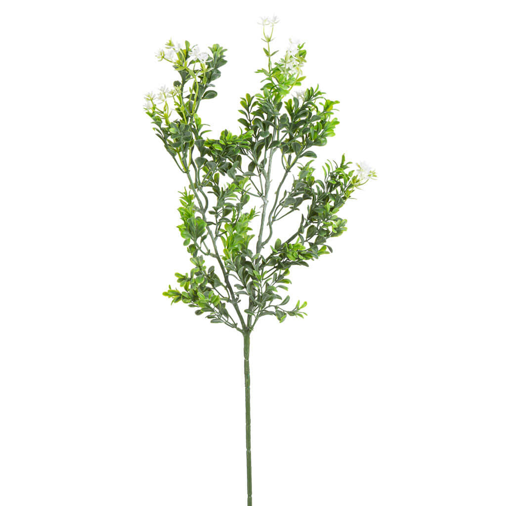 Boxwood Branches With White Flowers, 31in