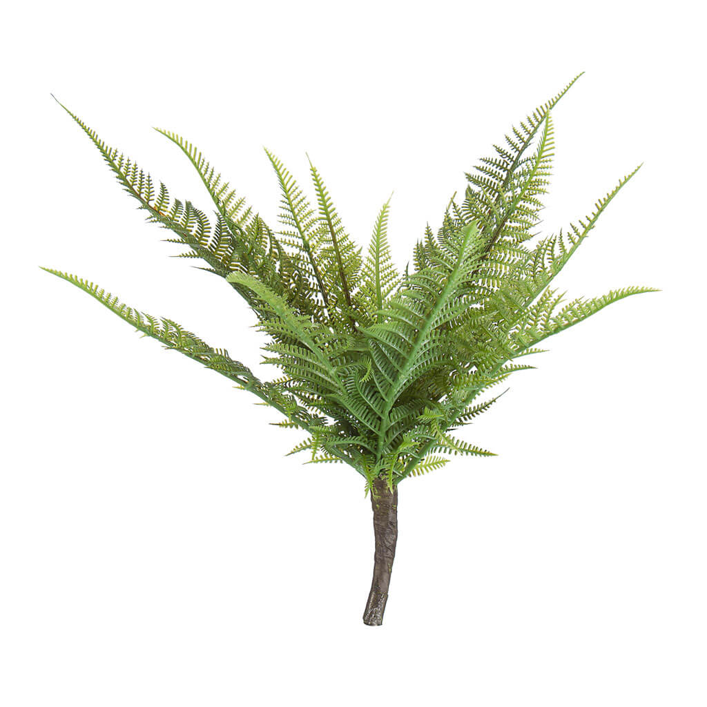 Green Fern Bush, 14in