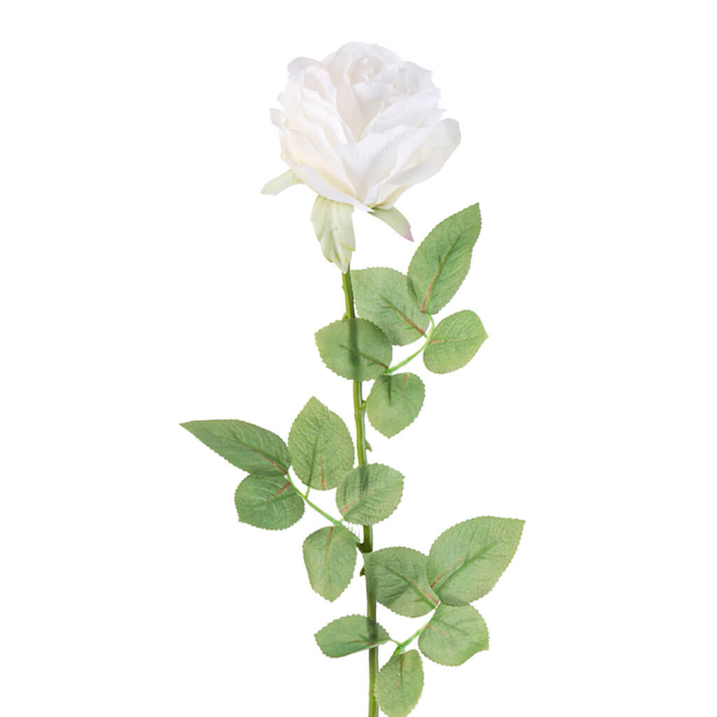 White Rose Stem, 27in