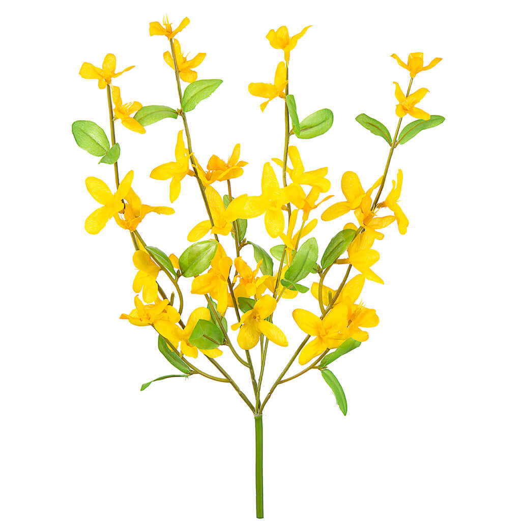 Yellow Forsythia Pick, 13in